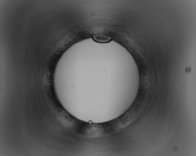 X0000101190750200807181511