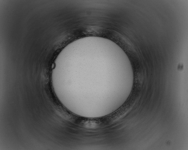X0000101190751200807181511