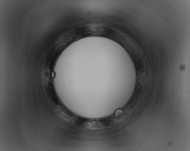 X0000101190752200807181511