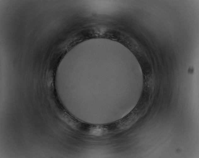 X0000101190754200807181511