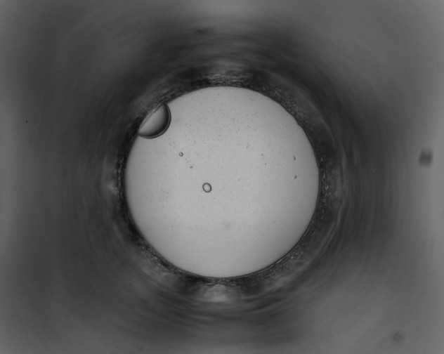X0000101190755200807181511