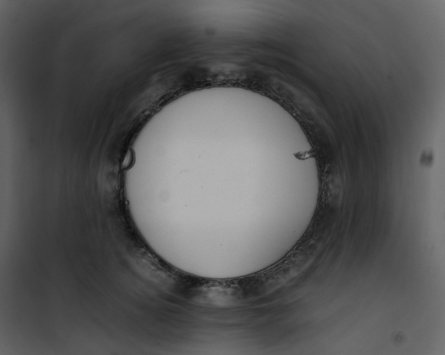 X0000101190756200807181511