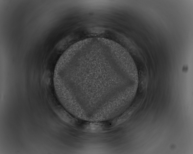 X0000101190758200807181511