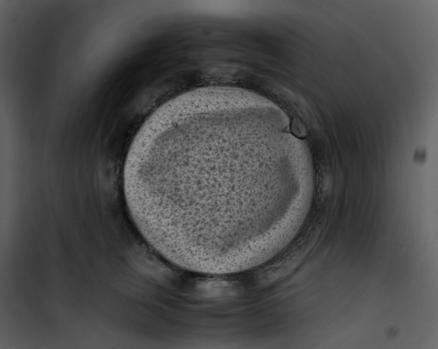 X0000101190759200807181511