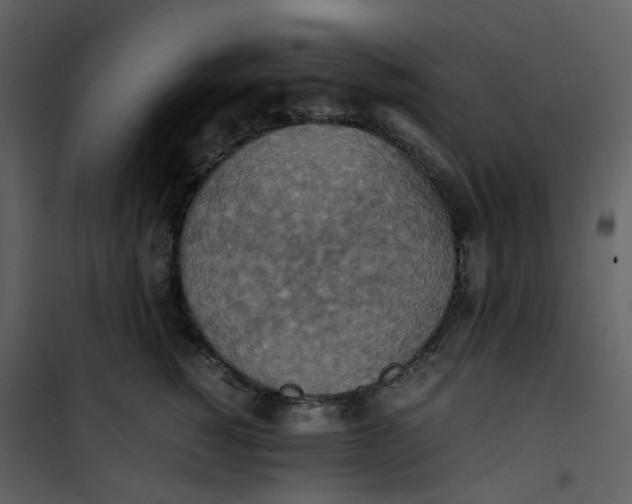 X0000101190760200807181511