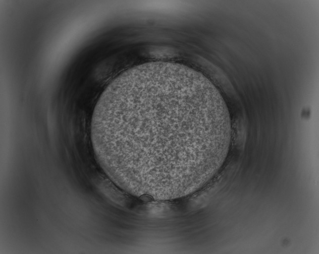 X0000101190762200807181511