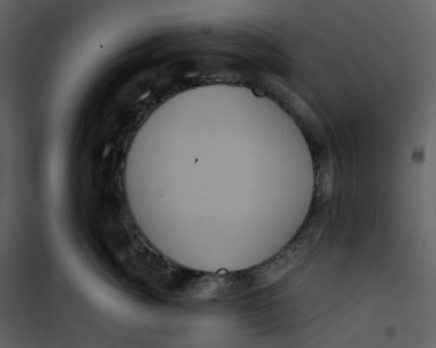 X0000101190764200807181511
