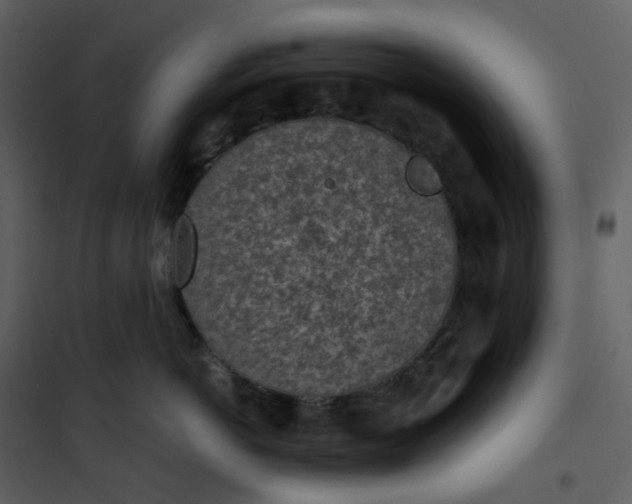 X0000101190766200807181511