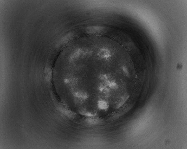X0000101190767200807181511