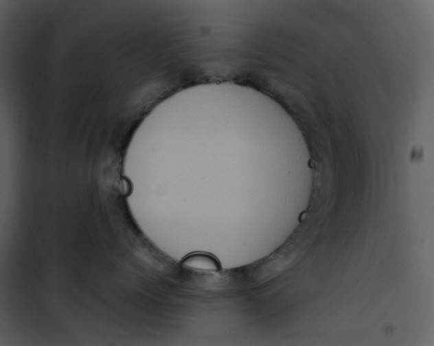X0000101190768200807181511