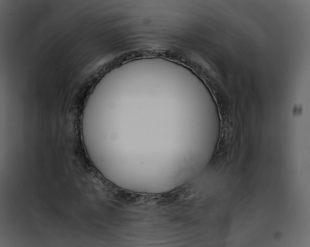 X0000101190773200807181510