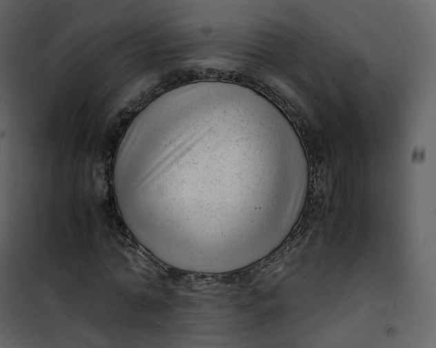 X0000101190774200807181510