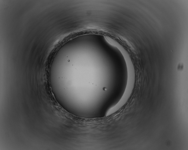 X0000101190776200807181510