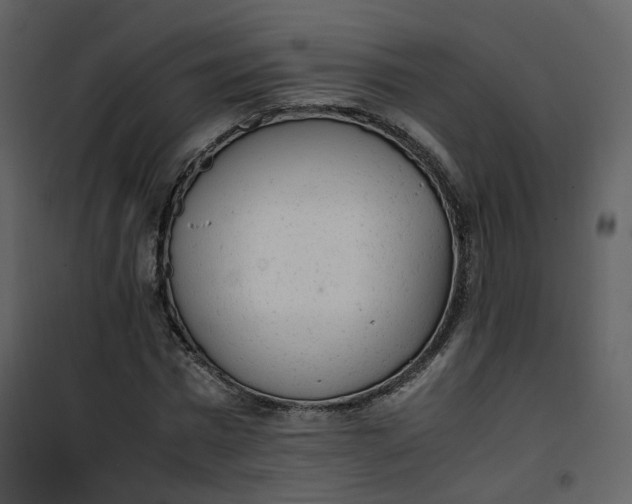 X0000101190777200807181510
