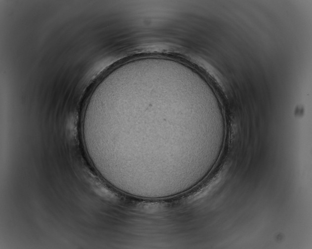 X0000101190778200807181510
