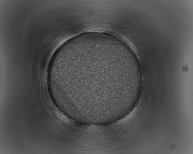 X0000101190779200807181510