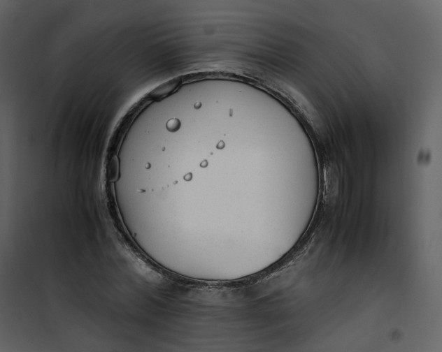 X0000101190780200807181510