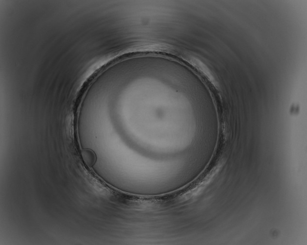 X0000101190781200807181510