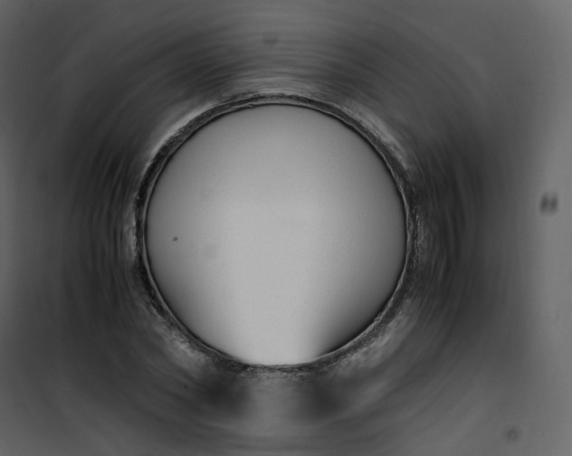 X0000101190782200807181510