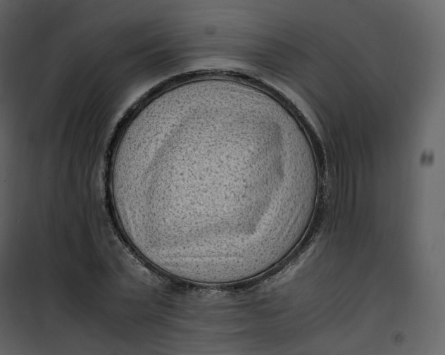 X0000101190783200807181510