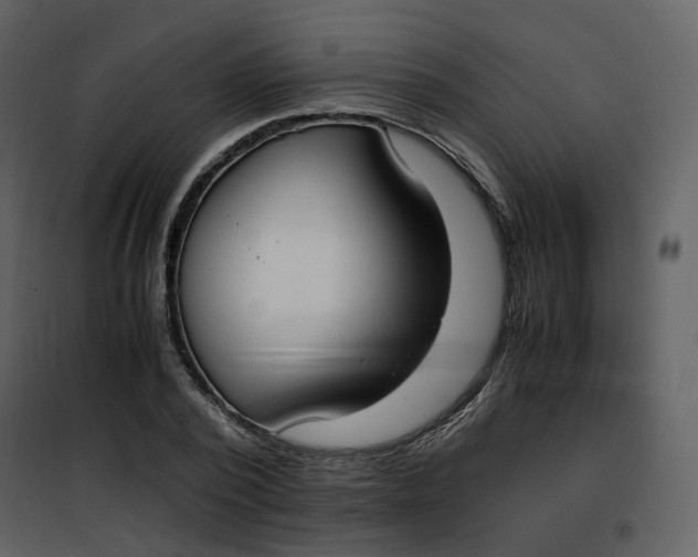 X0000101190784200807181510