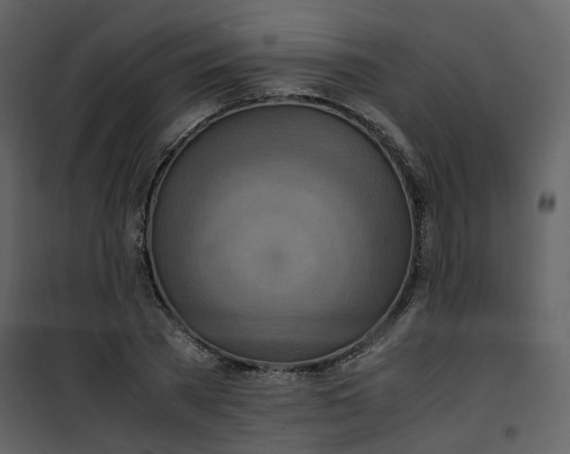 X0000101190785200807181510