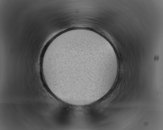 X0000101190787200807181510