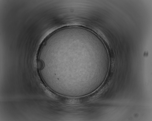 X0000101190789200807181510