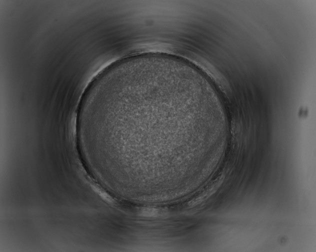 X0000101190790200807181510