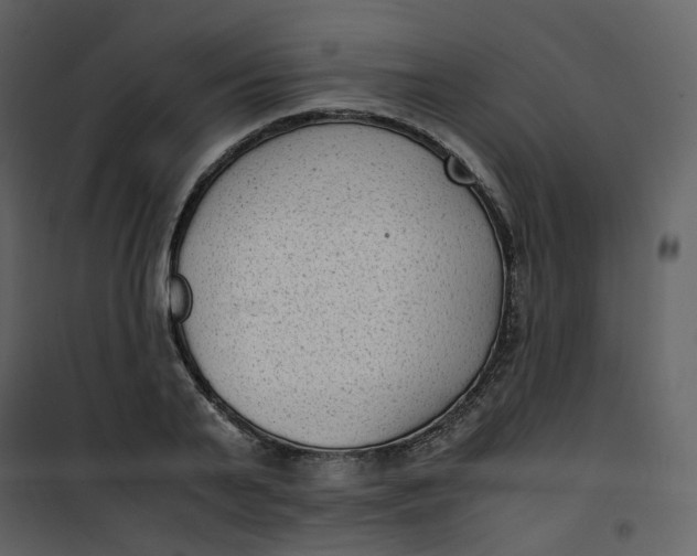 X0000101190791200807181510