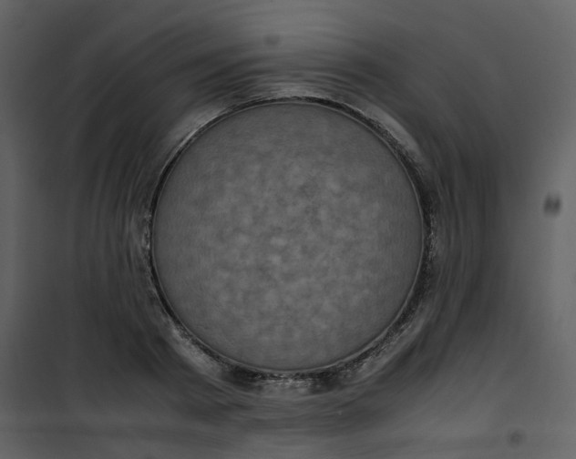 X0000101190793200807181510