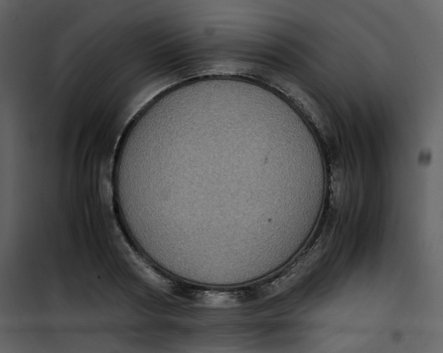 X0000101190794200807181510