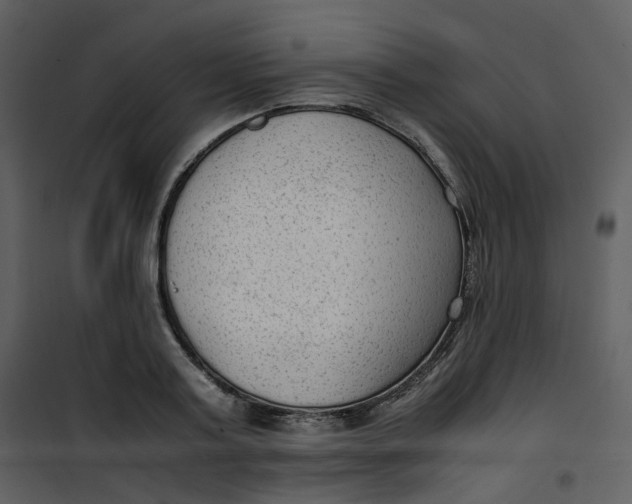 X0000101190795200807181510