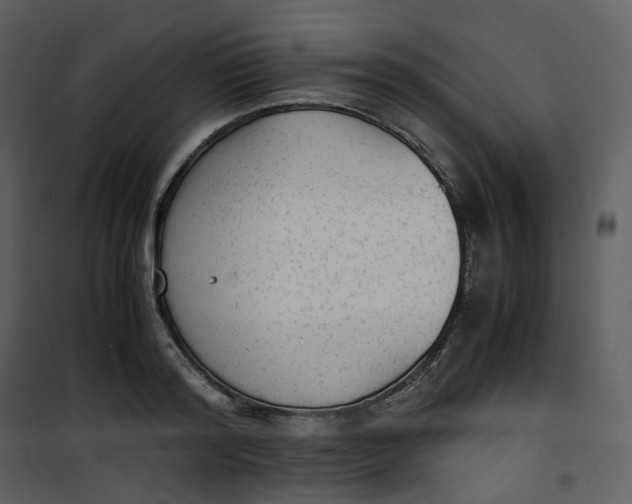 X0000101190796200807181510