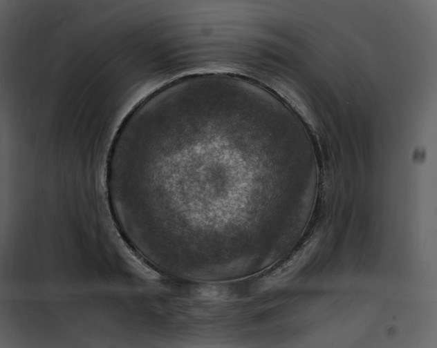 X0000101190797200807181510