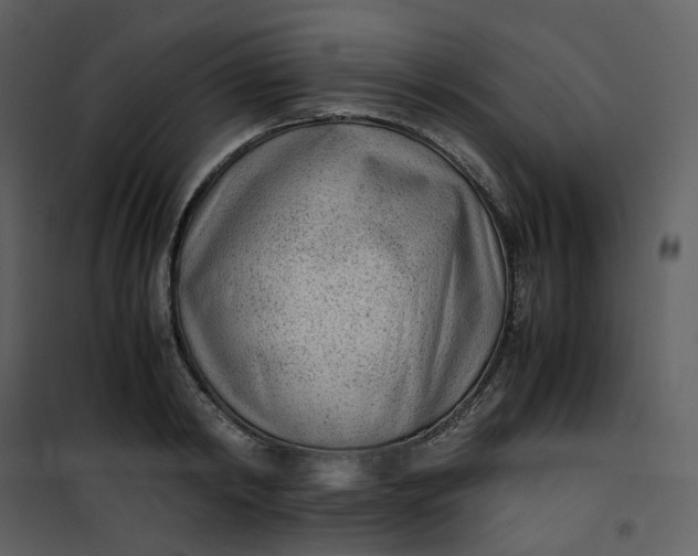 X0000101190798200807181510