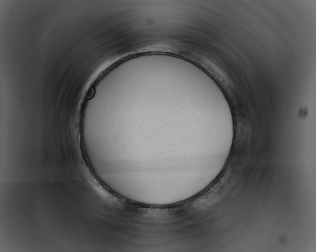 X0000101190800200807181510