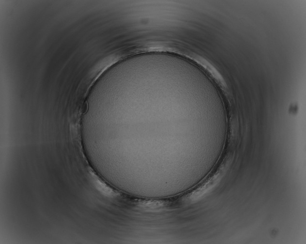 X0000101190801200807181510