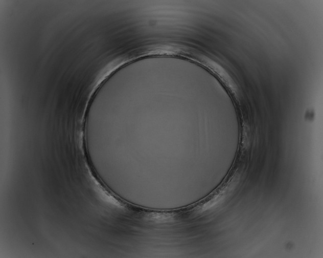 X0000101190802200807181510