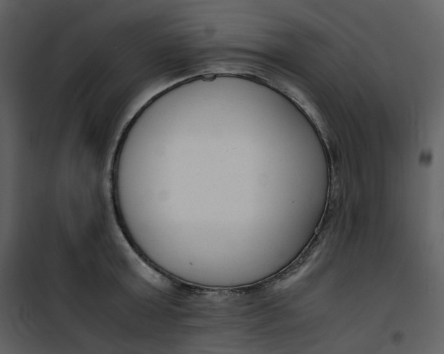 X0000101190803200807181510
