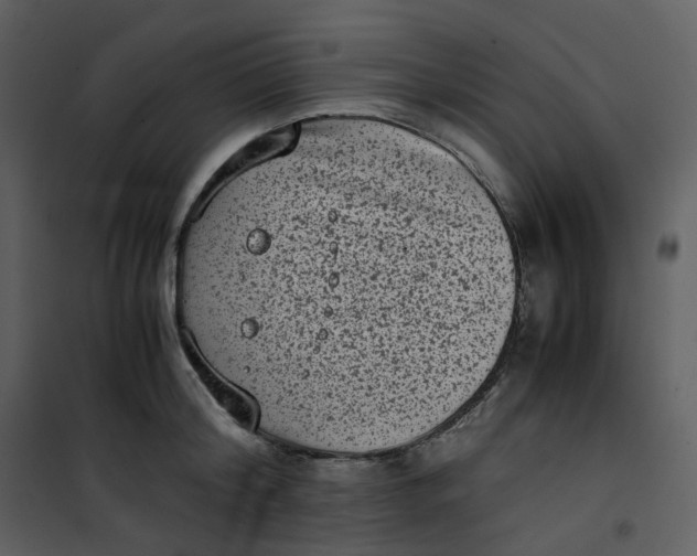 X0000101190804200807181510