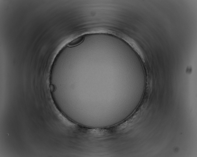 X0000101190805200807181510