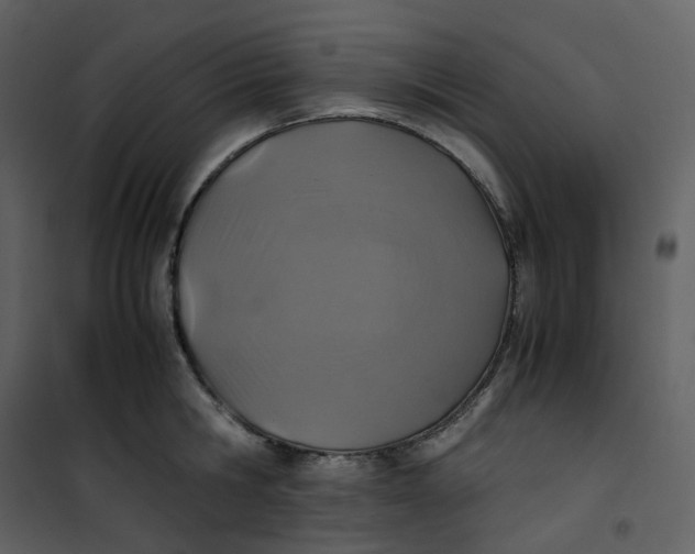 X0000101190806200807181510