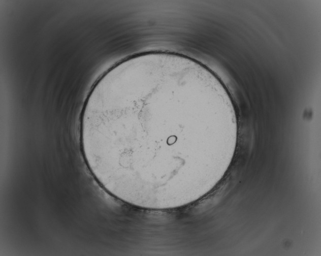 X0000101190807200807181510