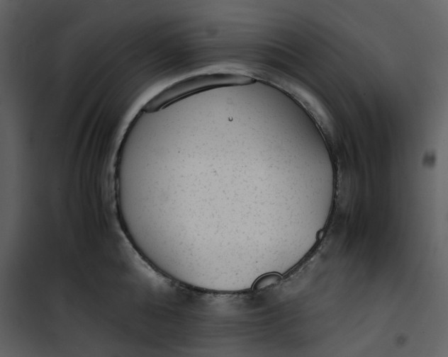 X0000101190808200807181510