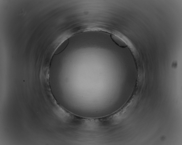 X0000101190809200807181510