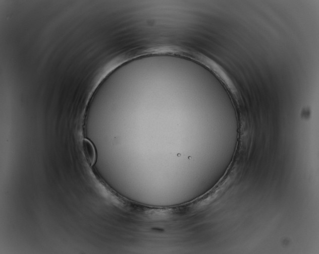 X0000101190810200807181510