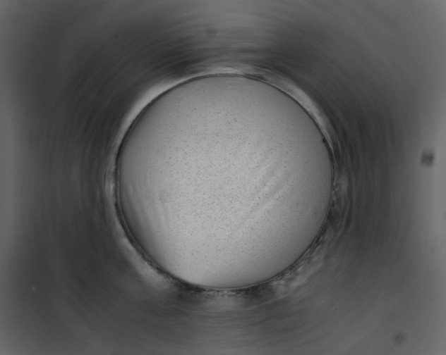 X0000101190811200807181510