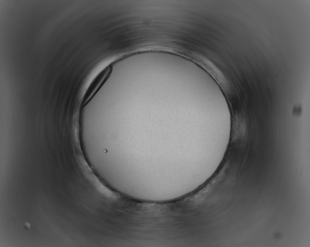 X0000101190812200807181510