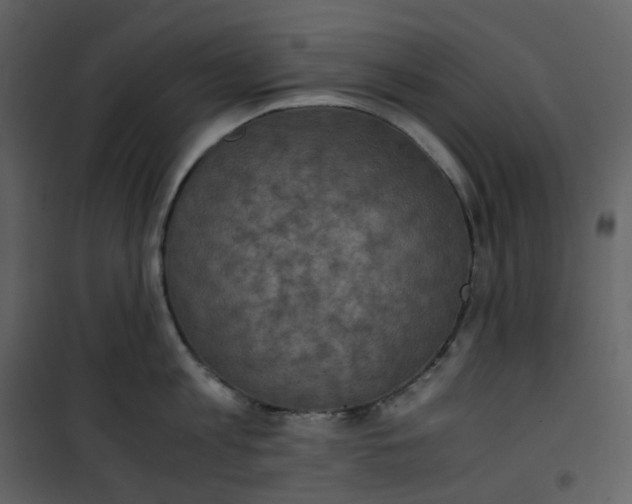 X0000101190813200807181510